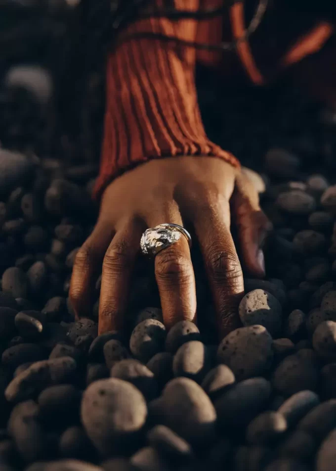 Anillo Eroz Edición Duo paladio con baño de oro de 24 quilates Anillo Eroz Edición Duo paladio con baño de oro de 24 quilates