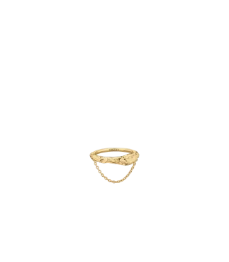 Edición dorada de Eroz Chain Ring Edition