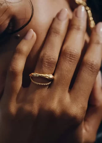 Edición dorada de Eroz Chain Ring Edition